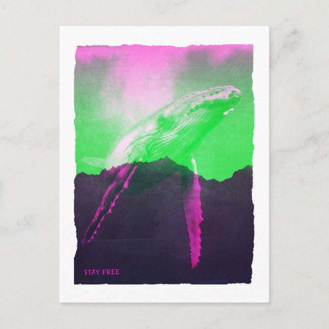 Whale Stay Free Postcard (Front)