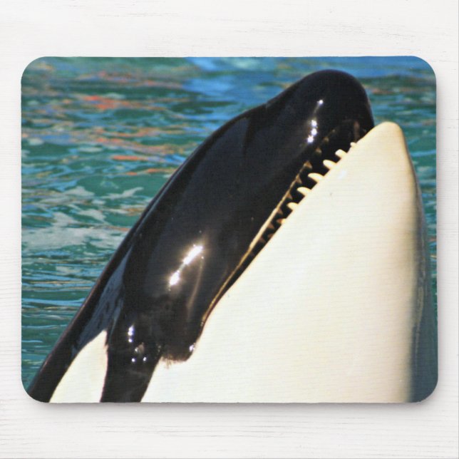 Whale Surfacing Ocean View Mouse Pad (Front)