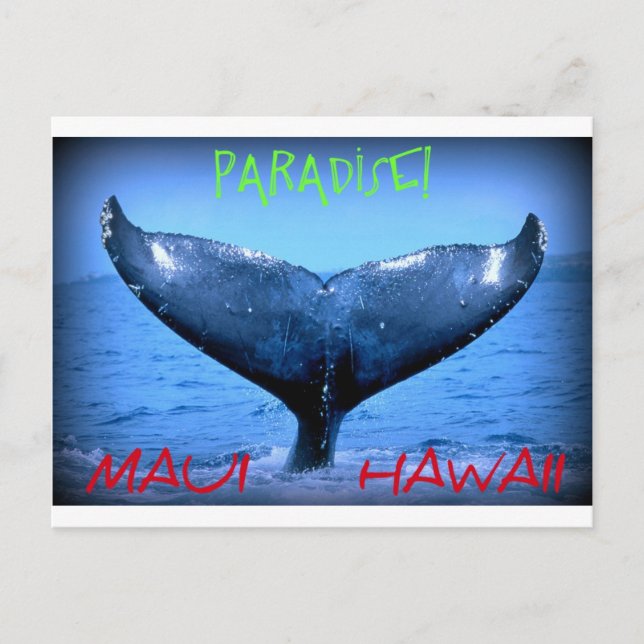 WHALE TAIL MAUI PARADISE HAWAII POSTCARD (Front)
