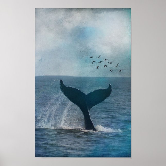 Whale Tail Poster (Front)
