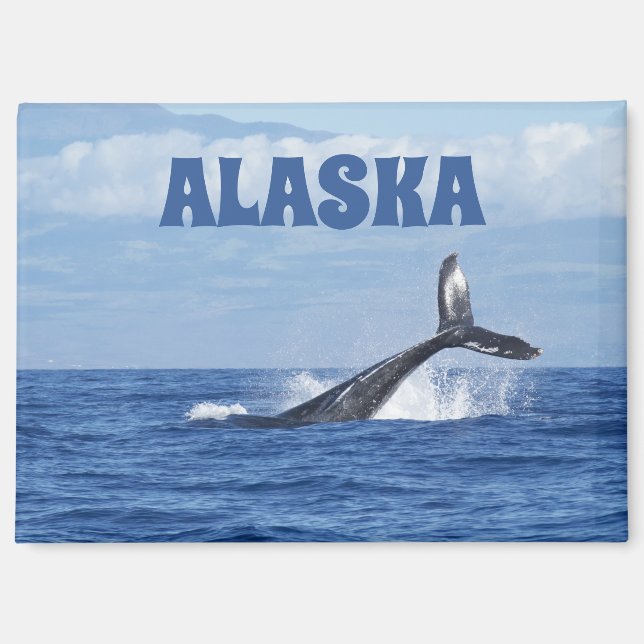 Whale Tail Scenic Oceanic Alaska Magnet Gift   (Front)