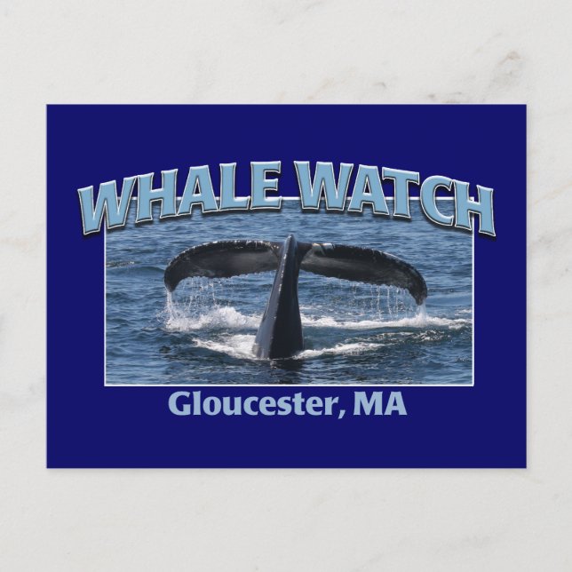 Whale Watch Postcard (Front)