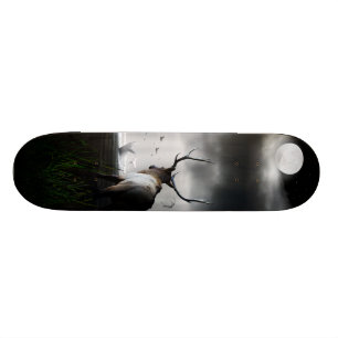 Whale Watch Skateboard