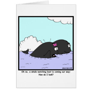 Whale Watching: Whale Cartoon