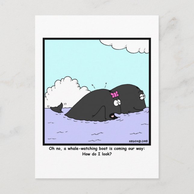 Whale Watching: Whale Cartoon Postcard (Front)