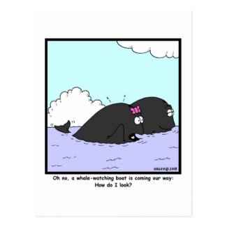 Whale Watching: Whale Cartoon Postcard