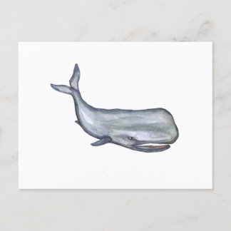 Whale watercolor art  postcard