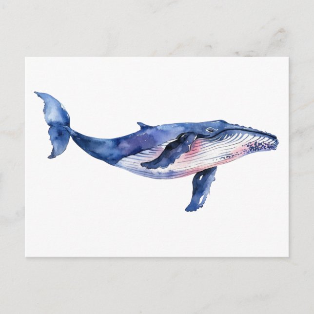 Whale Watercolor Postcard (Front)