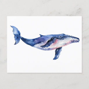 Whale Watercolor   Postcard