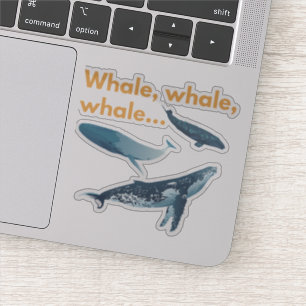 Whale, whale ,whale