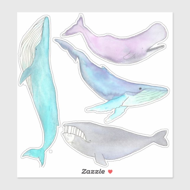 Whale Whale Whale... Whale Stickers (Sheet)