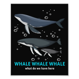 Whale Whale Whale What Do We Have Here Photo Print