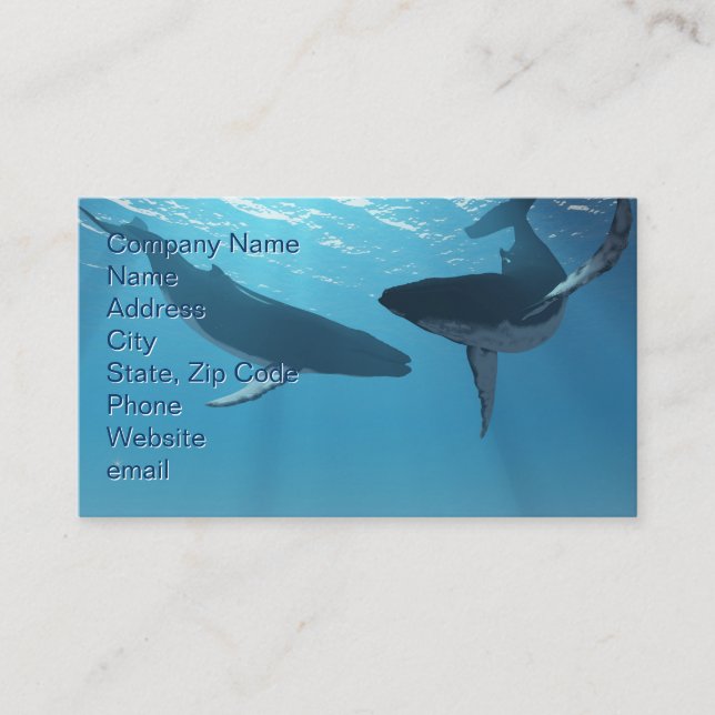 Whale Wonders Business Card (Front)