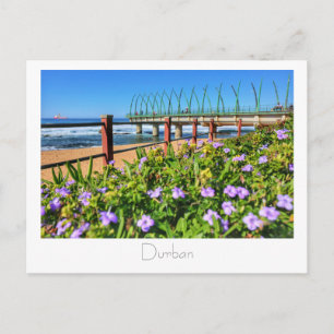 Whalebone Pier Umhlanga Durban SA Postcard