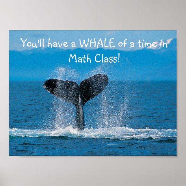 WhaleMath Poster (Front)