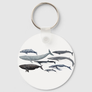 Whales and right whales key ring
