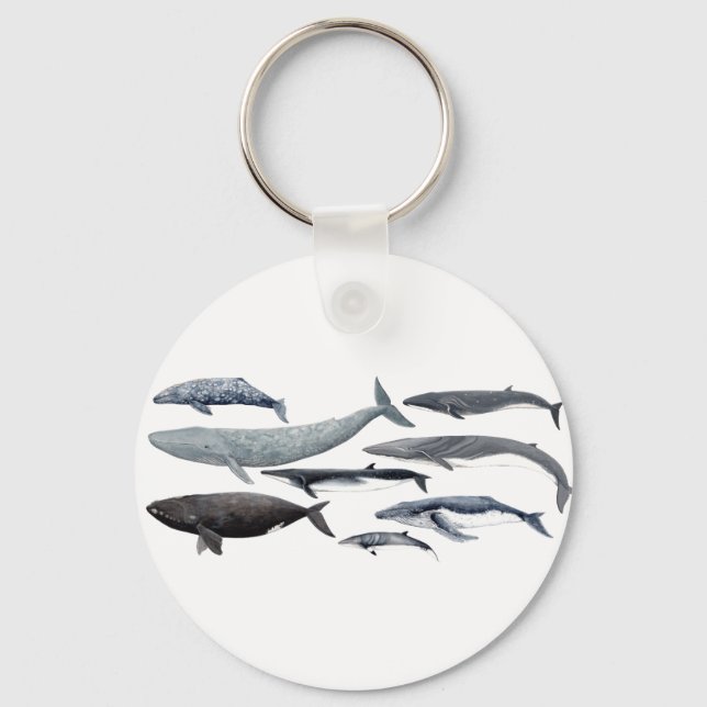 Whales and right whales key ring (Front)