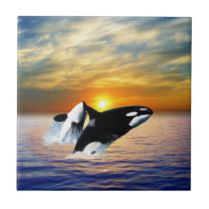 Whales at sunset ceramic tile