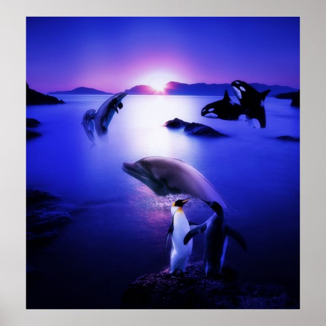 Whales dolphins penguins ocean sunset poster (Front)
