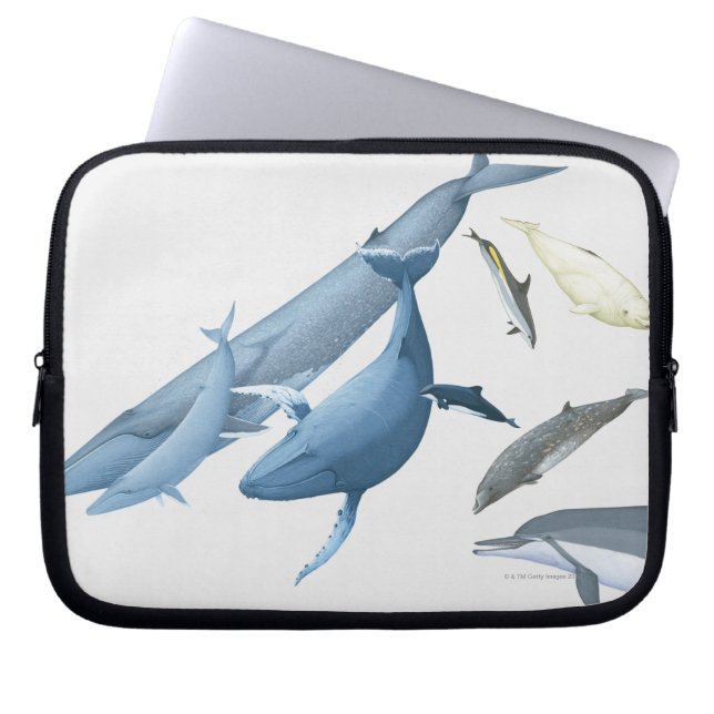 Whales Laptop Sleeve (Front)