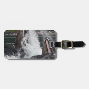 whales luggage tag