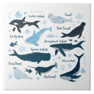 Whales & Marine Life Ocean Graphic Design Ceramic Tile