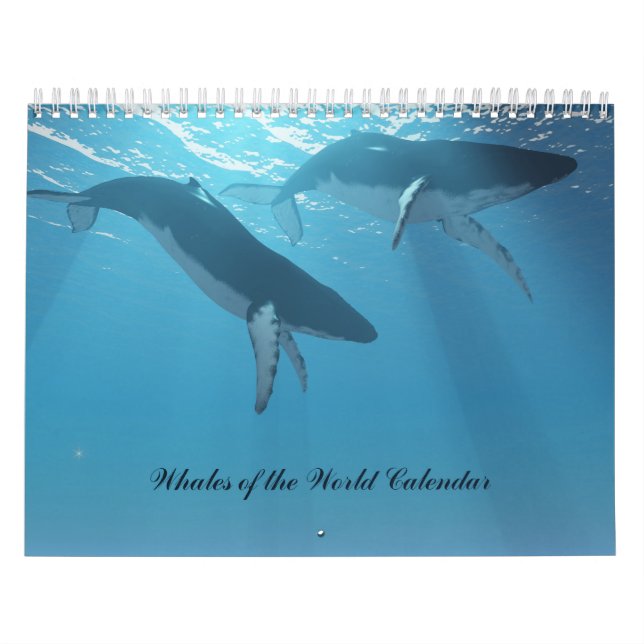 Whales of the World Calendar (Cover)