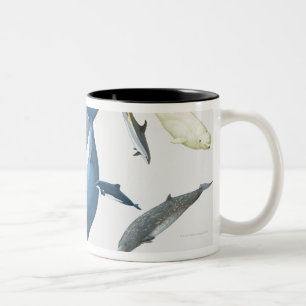 Whales Two-Tone Coffee Mug