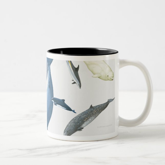 Whales Two-Tone Coffee Mug (Right)