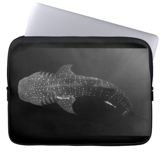 Whaleshark Neoprene Laptop Sleeve (13") (Front)