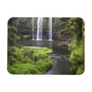 Whangarei Falls, Whangarei, Northland, New 2 Magnet