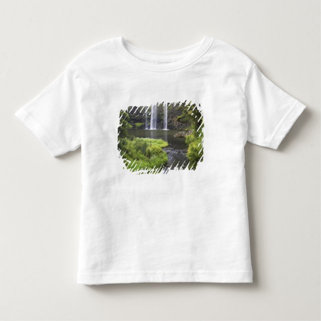 Whangarei Falls, Whangarei, Northland, New 2 Toddler T-Shirt (Front)