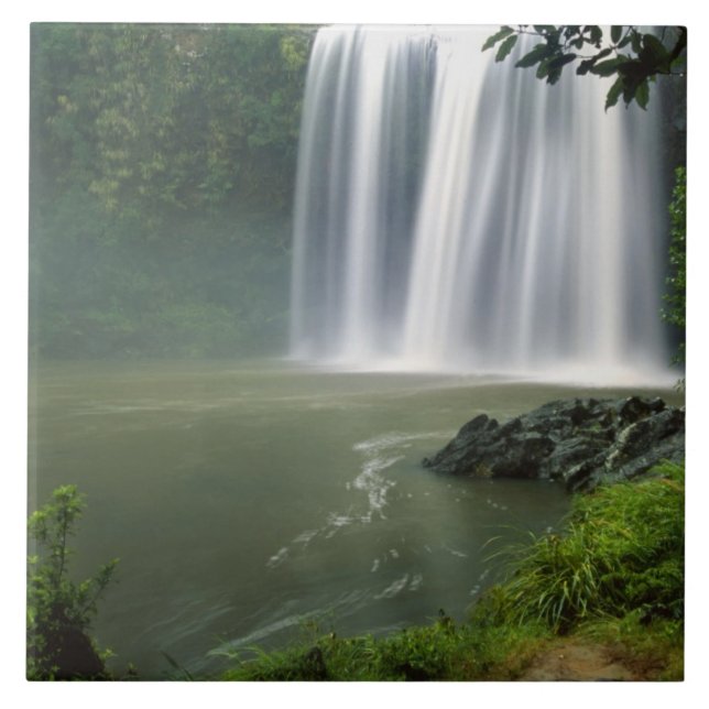 Whangarei Falls, Whangarei, Northland, New Ceramic Tile (Front)