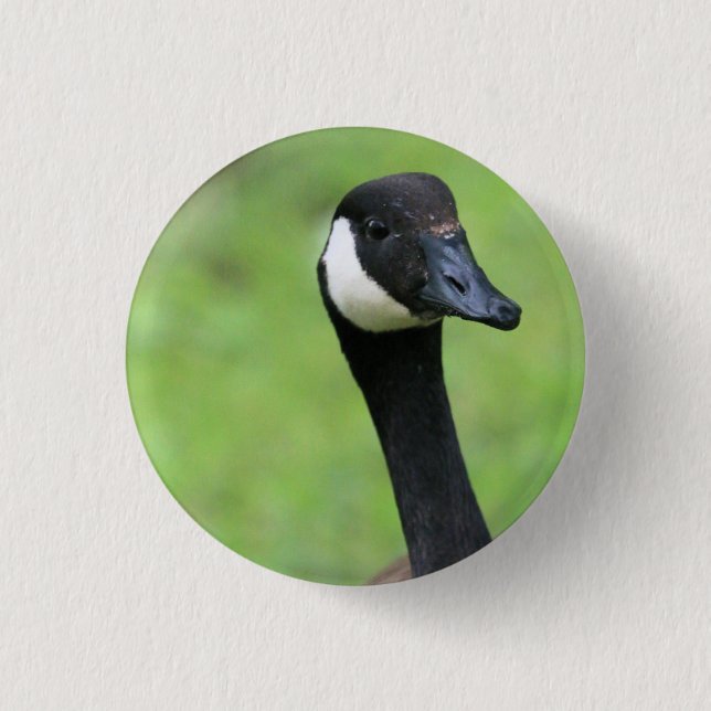 What? 3 Cm Round Badge (Front)