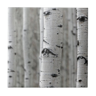 what a birch ceramic tile