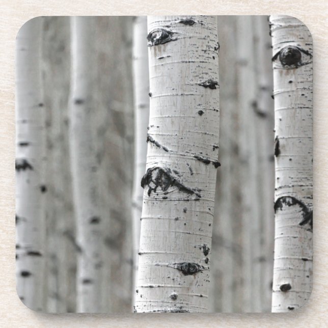 what a birch coaster (Front)