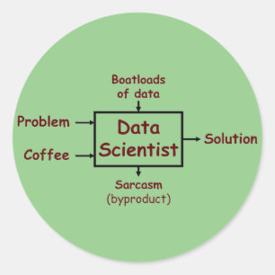 What a data scientist does all day classic round sticker