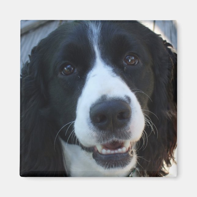 What a face Magnet (Front)