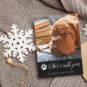 What A Ruff Year Photo Christmas Card