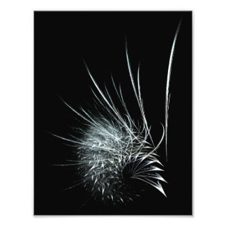 "What a tangled web we weave" Photo Print