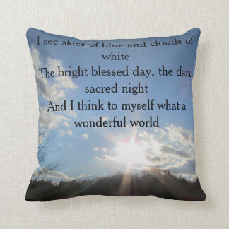 What a wonderful world pillow