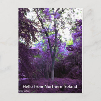 what a world postcard