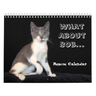 What About Bob Kitten (cat) Calendar