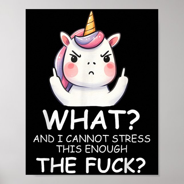 What &amp; I Cannot Stress This Enough The Fck Sig Poster (Front)