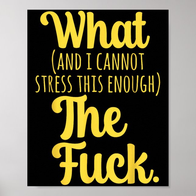 What And I Cannot Stress This Enough The F Funny S Poster (Front)