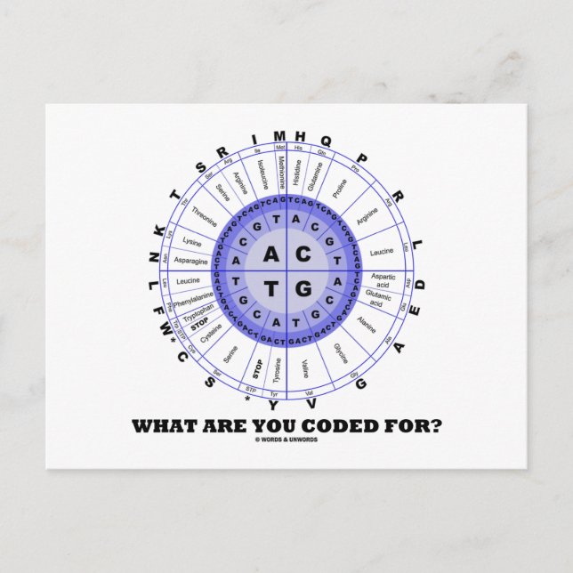 What Are You Coded For? (Amino Acid Wheel) Postcard (Front)