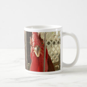 What are you lookin' at?? coffee mug