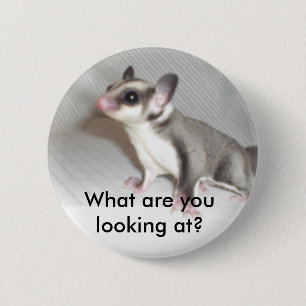 What are you looking at? 6 cm round badge