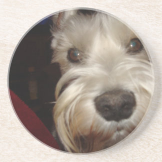 What are YOU Looking At? Coaster