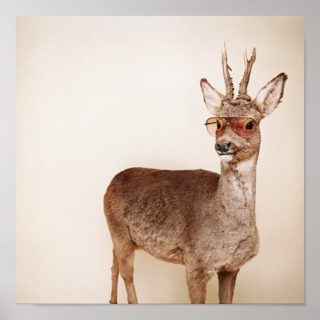 What are you looking at? poster (Front)